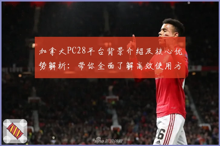 加拿大PC28平台背景介绍及核心优势解析：带你全面了解高效使用方式