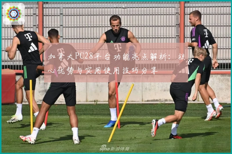 加拿大PC28平台功能亮点解析：核心优势与实用使用技巧分享