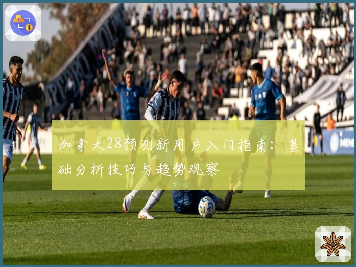 加拿大28预测新用户入门指南：基础分析技巧与趋势观察