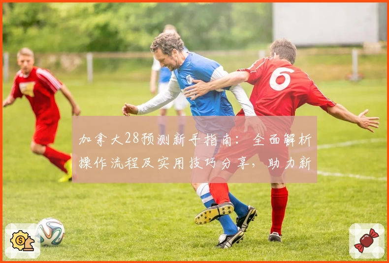 加拿大28预测新手指南：全面解析操作流程及实用技巧分享，助力新人快速上手