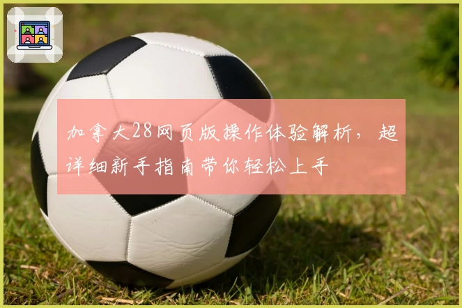 加拿大28网页版操作体验解析，超详细新手指南带你轻松上手