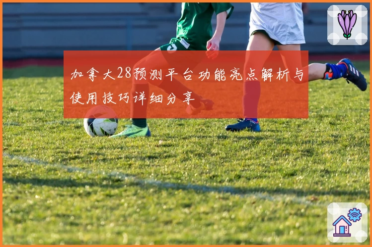 加拿大28预测平台功能亮点解析与使用技巧详细分享