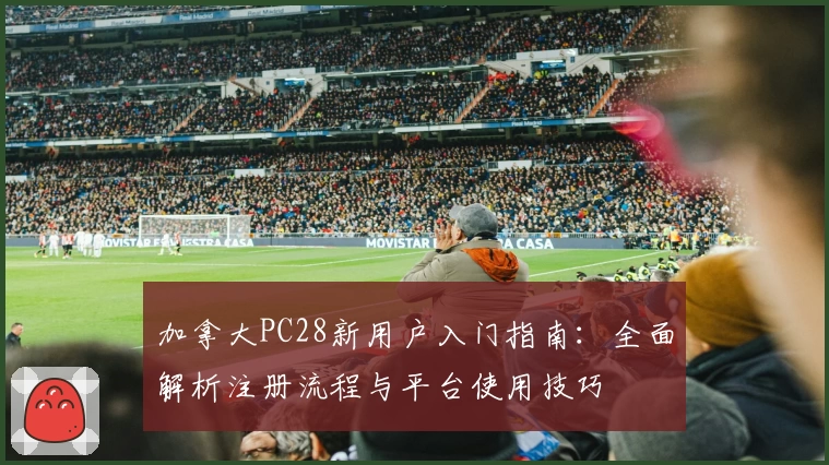 加拿大PC28新用户入门指南：全面解析注册流程与平台使用技巧