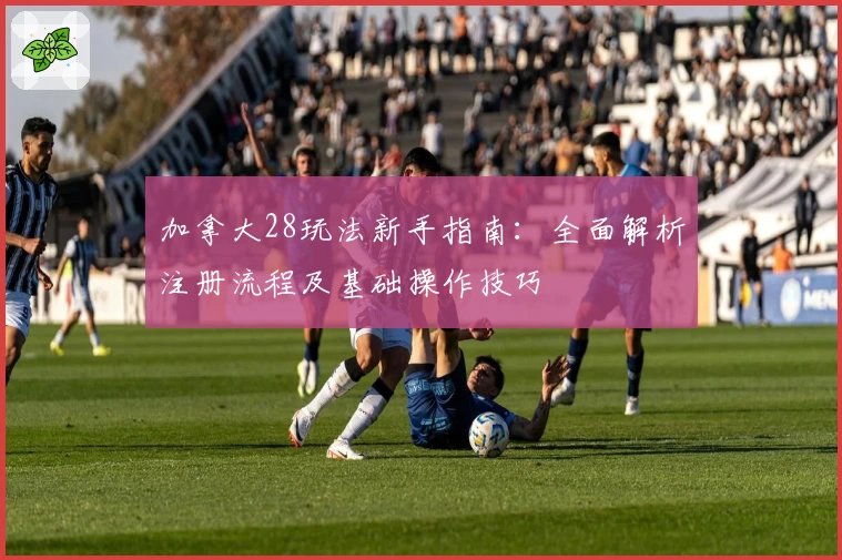 加拿大28玩法新手指南：全面解析注册流程及基础操作技巧