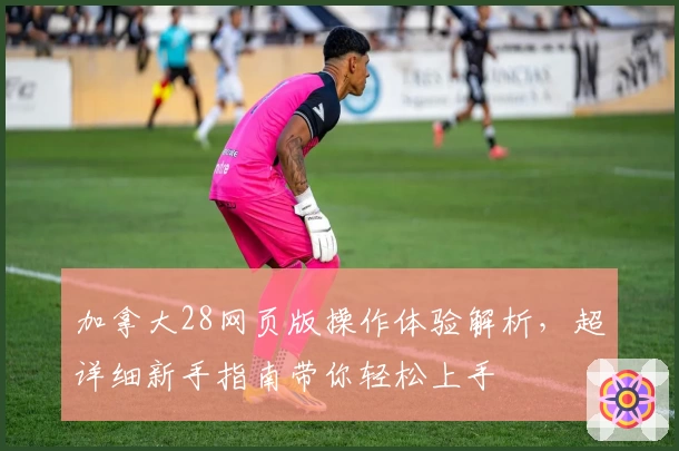 加拿大28网页版操作体验解析，超详细新手指南带你轻松上手