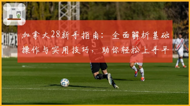 加拿大28新手指南：全面解析基础操作与实用技巧，助你轻松上手平台功能