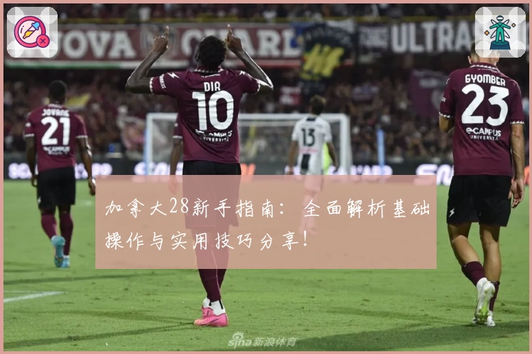 加拿大28新手指南：全面解析基础操作与实用技巧分享！