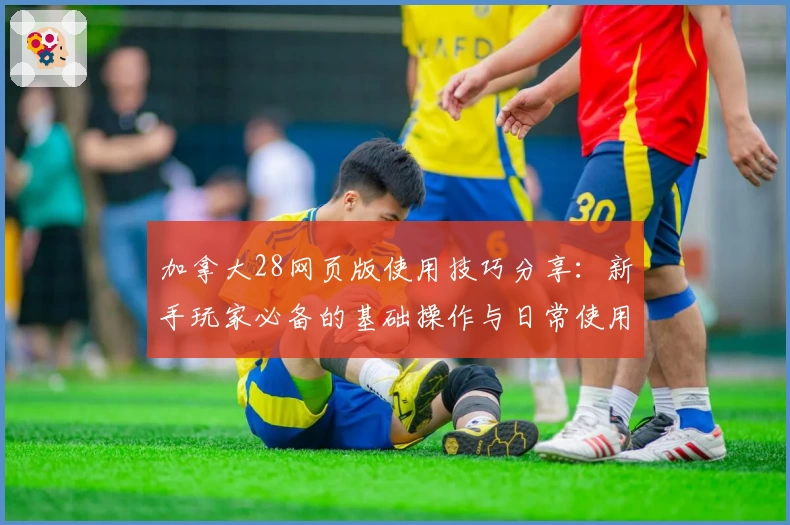 加拿大28网页版使用技巧分享：新手玩家必备的基础操作与日常使用场景详解