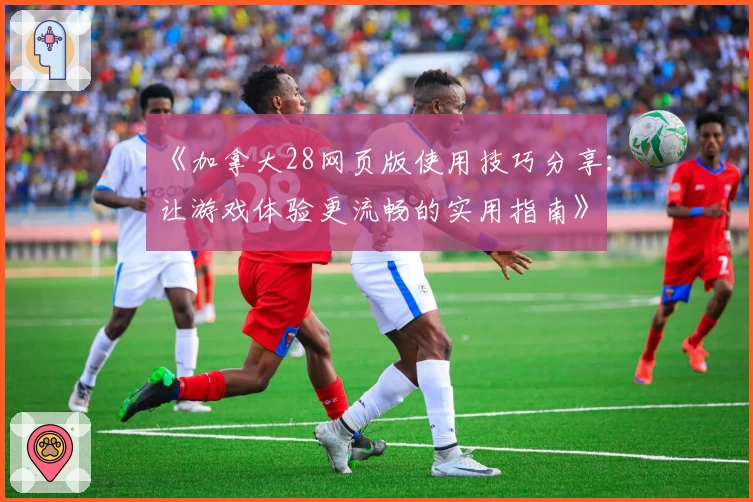 《加拿大28网页版使用技巧分享：让游戏体验更流畅的实用指南》