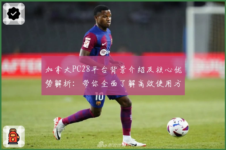 加拿大PC28平台背景介绍及核心优势解析：带你全面了解高效使用方式