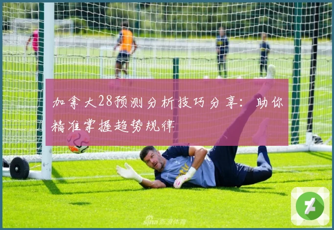 加拿大28预测分析技巧分享：助你精准掌握趋势规律